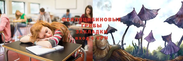 соль ск Липки